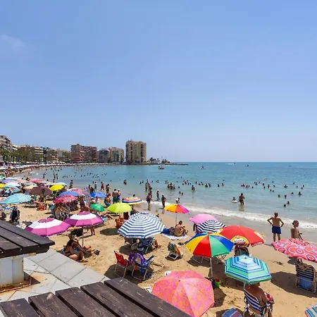 Bohemian Nights By Fidalsa * Torrevieja